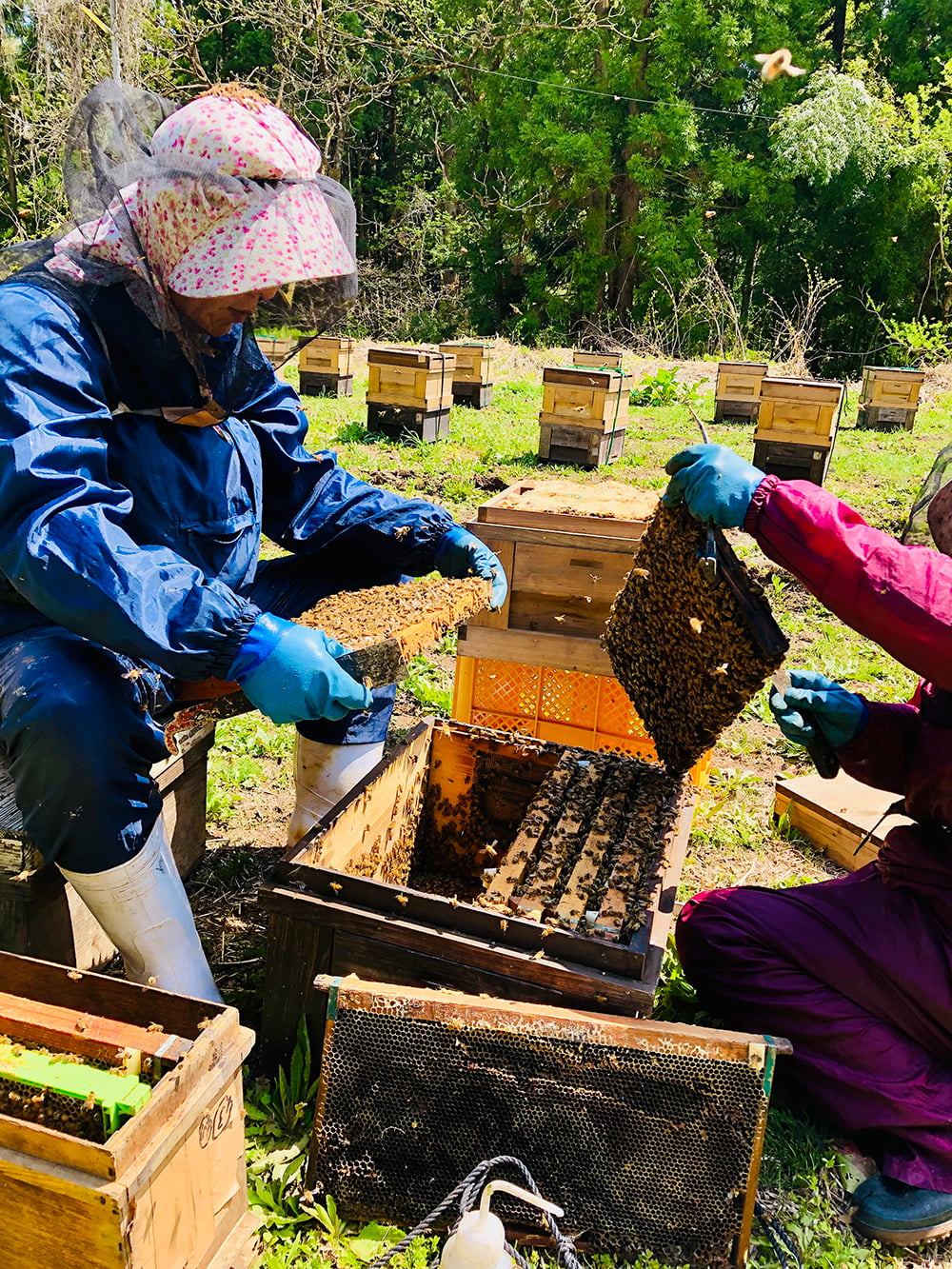 ORAMELはちみつギフト