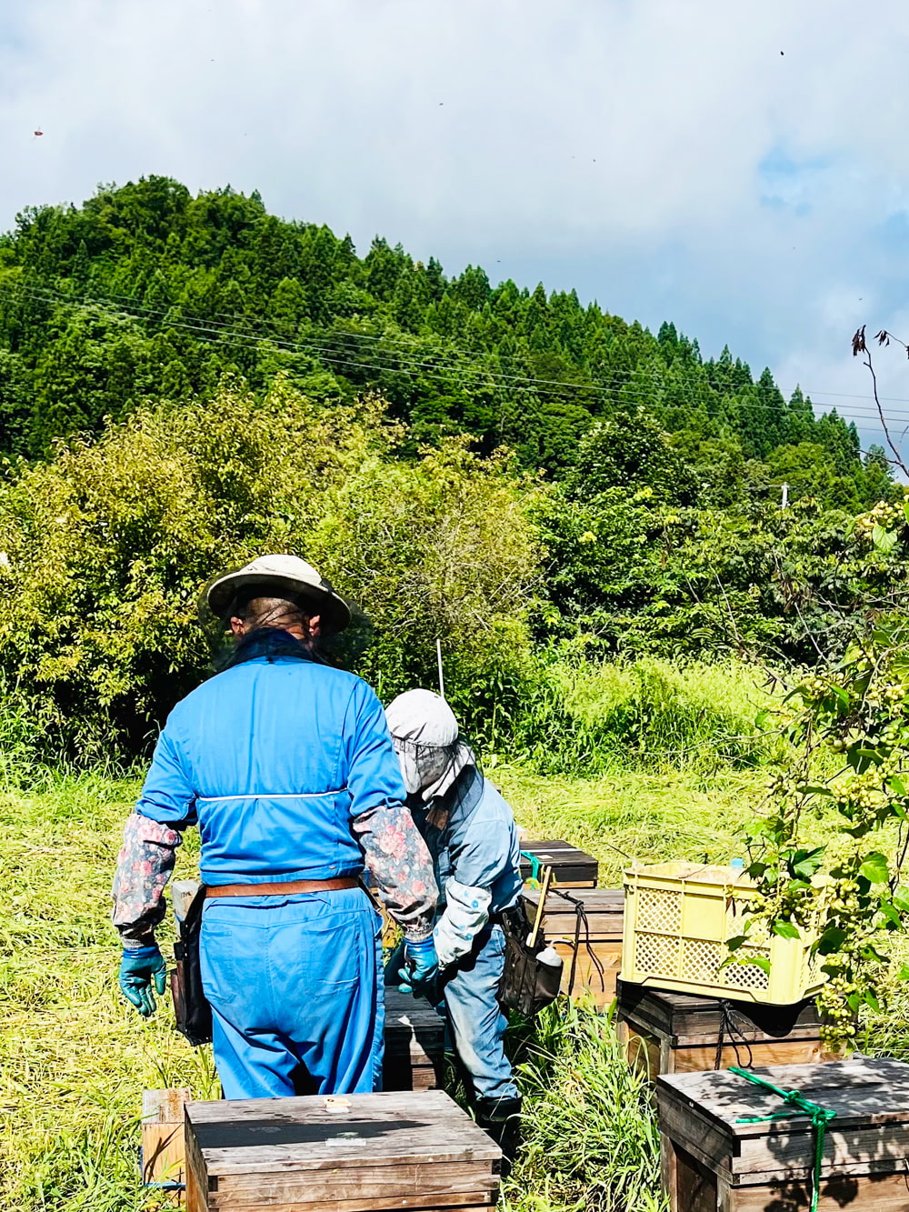 ORAMELはちみつギフト